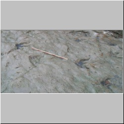 100_0981 (2009-28-07)m.jpg